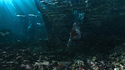 aquaman06399.jpg