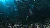 aquaman06400.jpg