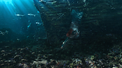aquaman06401.jpg