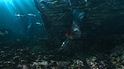 aquaman06402.jpg