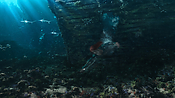 aquaman06403.jpg