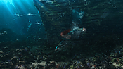aquaman06404.jpg
