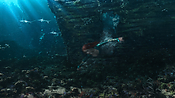 aquaman06405.jpg