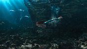 aquaman06407.jpg