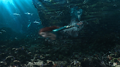 aquaman06409.jpg