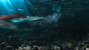 aquaman06413.jpg