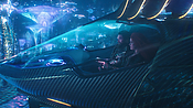 Filename=aquaman09154.jpg
Filesize=1730KiB
Dimensions=3840x2160
Date added=Jul 20, 2021 aquaman09154.jpg
