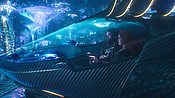Filename=aquaman09155.jpg
Filesize=1714KiB
Dimensions=3840x2160
Date added=Jul 20, 2021 aquaman09155.jpg
