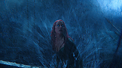 aquaman25069.jpg