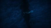 aquaman26150.jpg