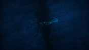 aquaman26151.jpg