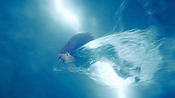 Filename=aquaman26392.jpg
Filesize=1047KiB
Dimensions=3840x2160
Date added=Jul 24, 2021 aquaman26392.jpg