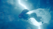 Filename=aquaman26393.jpg
Filesize=1057KiB
Dimensions=3840x2160
Date added=Jul 24, 2021 aquaman26393.jpg
