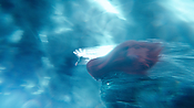 Filename=aquaman26435.jpg
Filesize=1354KiB
Dimensions=3840x2160
Date added=Jul 24, 2021 aquaman26435.jpg