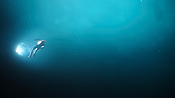 Filename=aquaman26466.jpg
Filesize=830KiB
Dimensions=3840x2160
Date added=Jul 24, 2021 aquaman26466.jpg