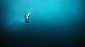 Filename=aquaman26472.jpg
Filesize=973KiB
Dimensions=3840x2160
Date added=Jul 24, 2021 aquaman26472.jpg
