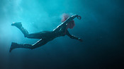Filename=aquaman26495.jpg
Filesize=1027KiB
Dimensions=3840x2160
Date added=Jul 24, 2021 aquaman26495.jpg