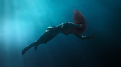 Filename=aquaman26522.jpg
Filesize=1024KiB
Dimensions=3840x2160
Date added=Jul 24, 2021 aquaman26522.jpg