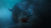aquaman26713.jpg