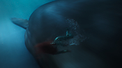 aquaman26714.jpg