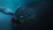 aquaman26716.jpg