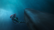 aquaman26723.jpg