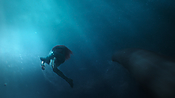 aquaman26730.jpg