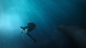 aquaman26731.jpg
