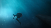 aquaman26732.jpg