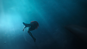 aquaman26733.jpg