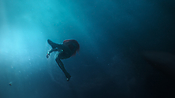 aquaman26734.jpg