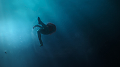 aquaman26738.jpg