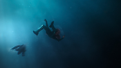 aquaman26750.jpg