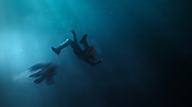aquaman26751.jpg