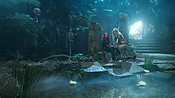 aquaman28382.jpg