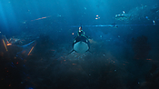 aquaman29694.jpg