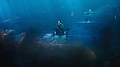 aquaman29697.jpg