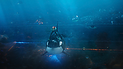 aquaman29710.jpg