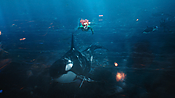 aquaman29724.jpg