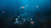 aquaman29727.jpg