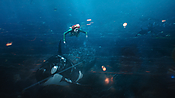 aquaman29728.jpg