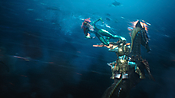 aquaman29757.jpg