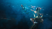aquaman29760.jpg