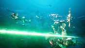 aquaman29766.jpg