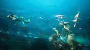 aquaman29767.jpg