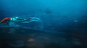 aquaman29779.jpg