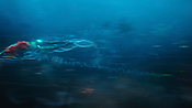 aquaman29780.jpg