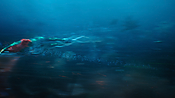 aquaman29781.jpg