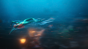 aquaman29785.jpg