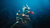 aquaman29795.jpg